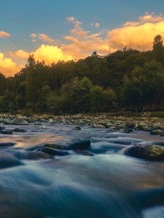 1162323033.free-photo-of-a-river-flowing-through-a-forest-at-sunset.jpeg